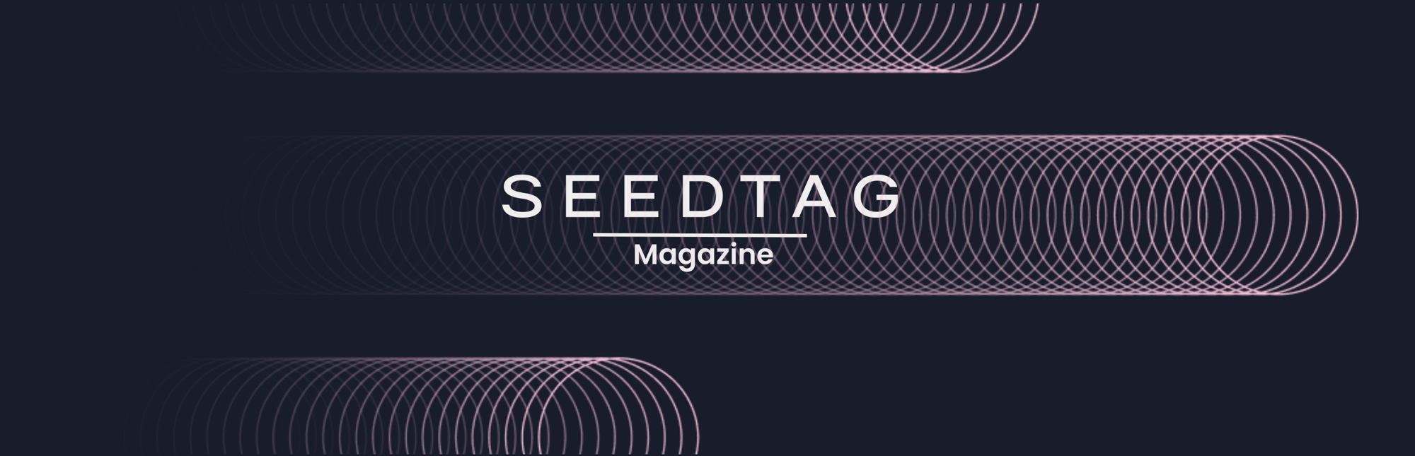2024_Seedtag_Magazine_Landing